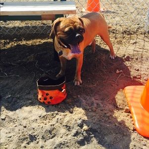 Meet your Posher, Daniela